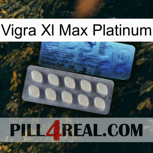 Vigra Xl Max Platinum 34.jpg